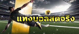 UFA88sแทงบอลเว็บตรง